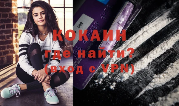гидра Михайловка