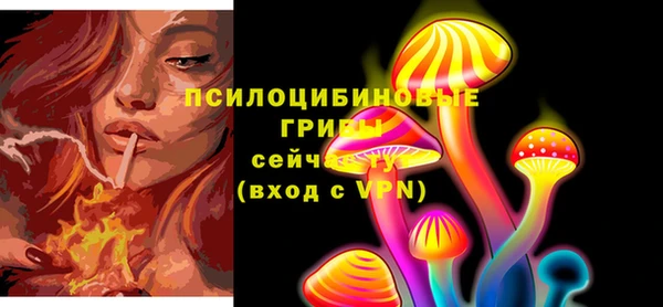 гидра Михайловка