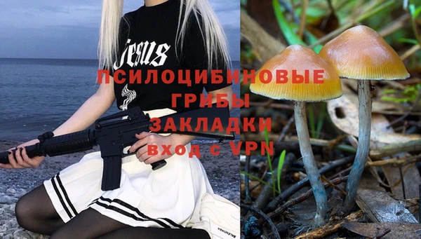 эйфоретик Михайловск