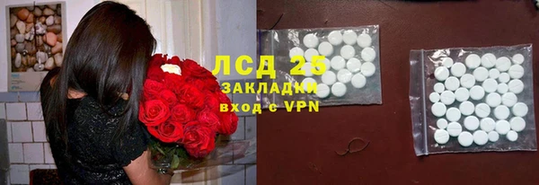 гидра Михайловка
