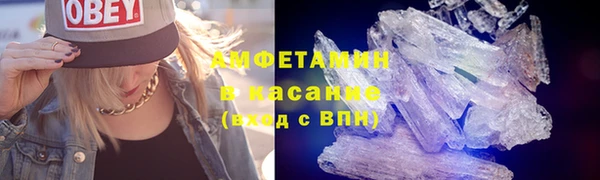 индика Магас