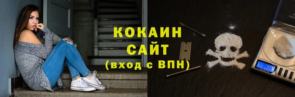 гидра Михайловка