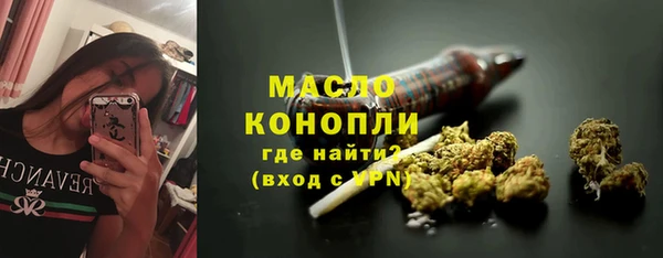 индика Магас