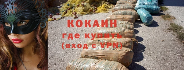 гидра Михайловка