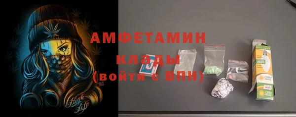 гидра Михайловка
