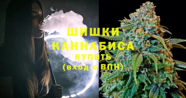 гидра Михайловка