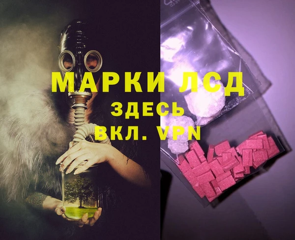 индика Магас