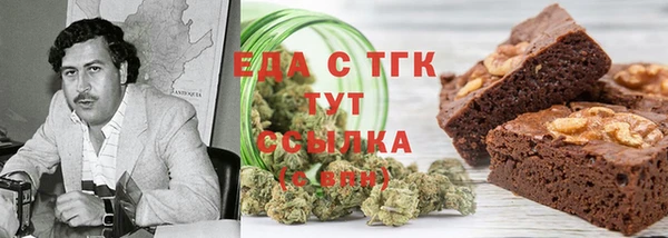 индика Магас