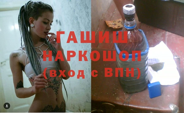 гидра Михайловка