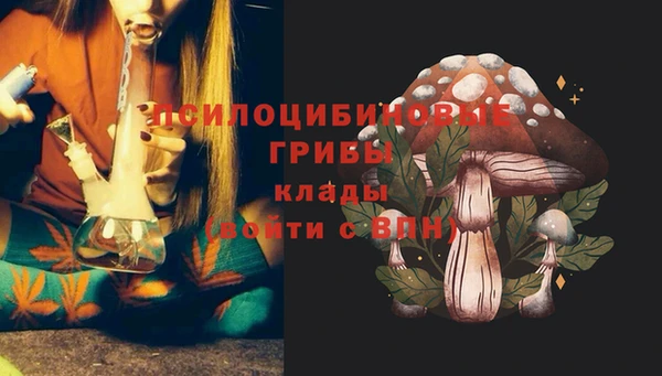эйфоретик Михайловск