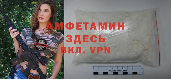индика Нижний Тагил