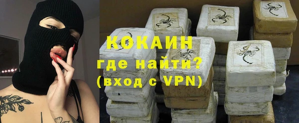 гидра Михайловка