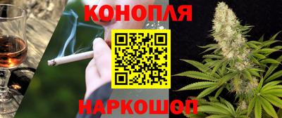 стаф Берёзовский